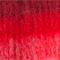 ROT/ ROSA
