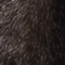 BRAUN