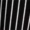 SCHWARZ/ WEISS GESTREIFT