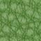 TRUE GREEN