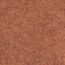 BRAUN