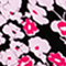 SCHWARZ/ ROSA/ PINK