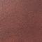 BRAUN