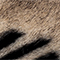 SCHWARZ/ CREME