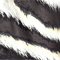 SCHWARZ/ ECRU
