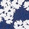 BLAU/ WEISS