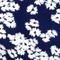 BLAU/ WEISS
