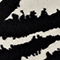 SCHWARZ/ WEISS