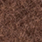 BRAUN