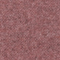 568 ROSA GRAU