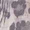 GRAU/ HELLGRAU