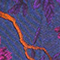 DUNKELLILA/ FUCHSIA/ ORANGE