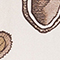 WEISS/ TAUPE