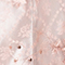 SILBER/ ROSÉ