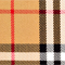 VINTAGE CHECK/ ROT