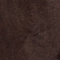 BRAUN