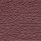 AUBERGINE