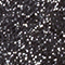 SCHWARZ/ SILBER