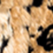DUNKELBRAUN/ BEIGE