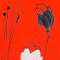 ROT/ WEISS/ SCHWARZ