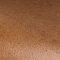 BRAUN