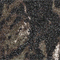 SCHWARZ/ OLIV