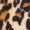 BEIGE/ SCHWARZ/ COGNAC