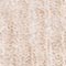 BEIGE MELIERT