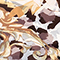 BEIGE/ WEISS/ DUNKELBRAUN