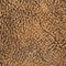 BRAUN