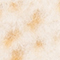 CAMEL/ ECRU