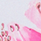 HELLGRAU/ PINK