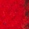 SCHWARZ/ ROT KARIERT