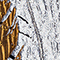 BLAU/ GOLD/ SILBER