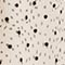 BEIGE/ SCHWARZ