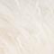 CREME