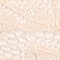 CREME