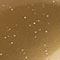 SCHWARZ/ GOLD