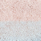 ORANGE/ SCHWARZ/ ROSA