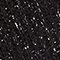 SCHWARZ/ SILBER