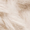 CREME