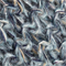 BLAUGRAU
