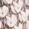 BEIGE/ TAUPE
