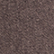 BRAUN
