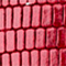 ROT