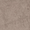 BRAUN