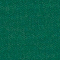 557 fir