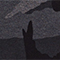 GRAU/ SCHWARZ