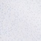 HELLBLAU