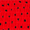 ROT/ SCHWARZ